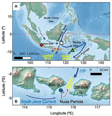 Sea Surface Temperature and Salinity in Lombok Strait Reconstructed From Coral Sr/Ca and δ18O, 1962–2012